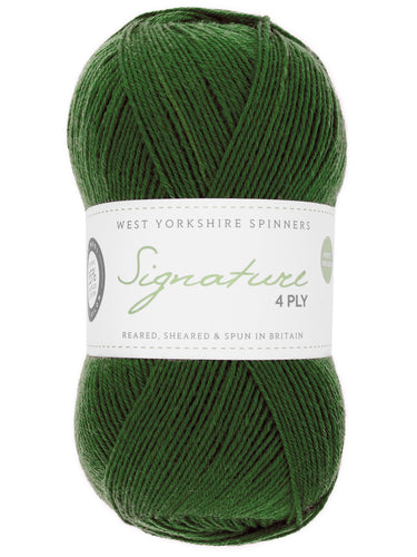 WYS 4 ply yarn Evergreen