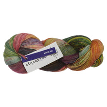 Load image into Gallery viewer, Malabrigo Mechita  4ply - Kettle Dyed 100% Superfine Merino